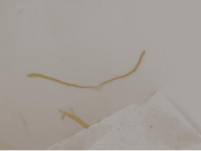 Картинка продукта