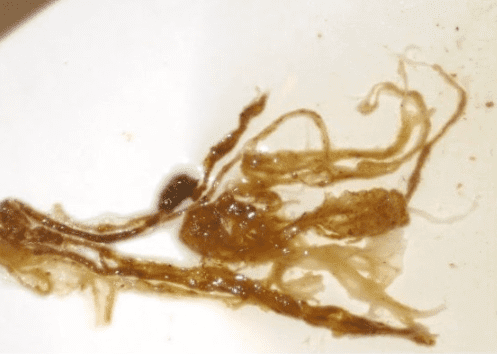 Картинка продукта