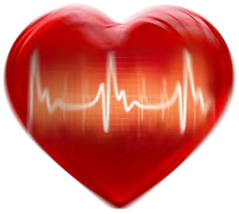 heart