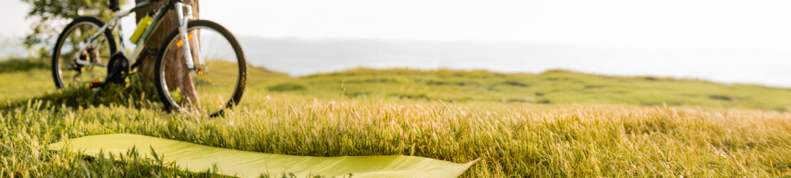 Blogul Margaritei Sichkar