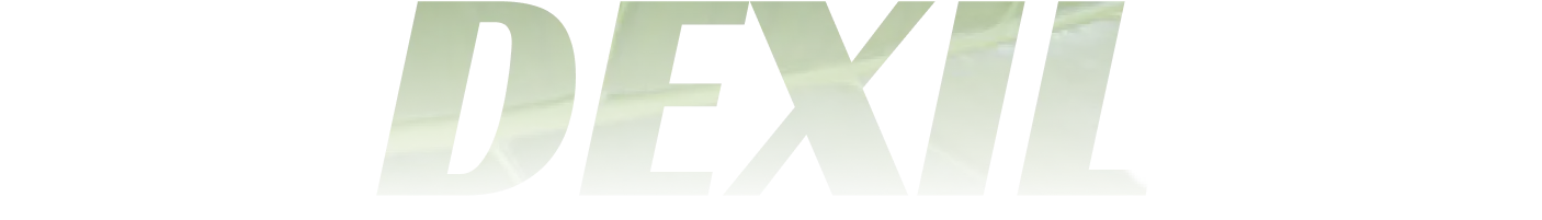 product name