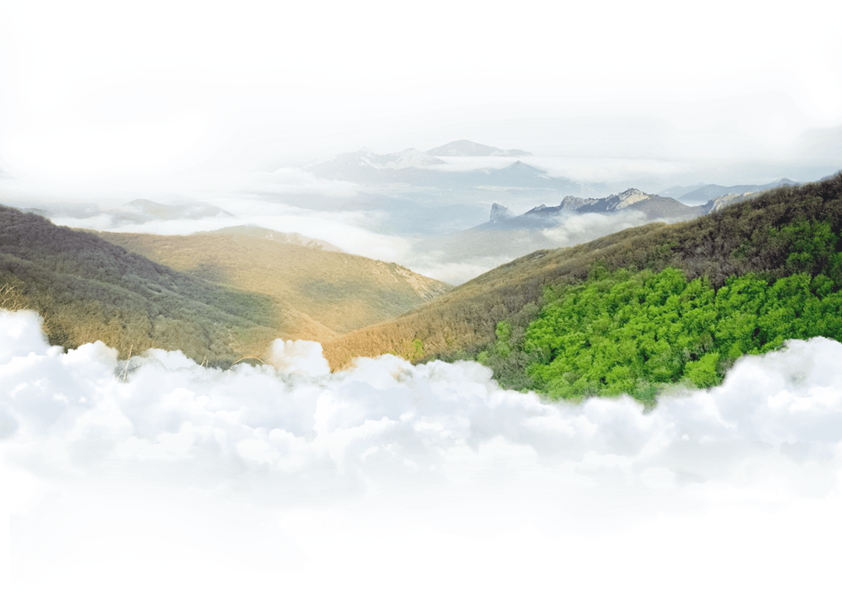 benefits_bg