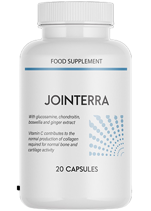 Jointerra 