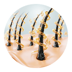 treatment steps