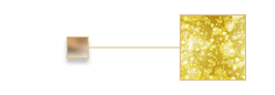 ingredient