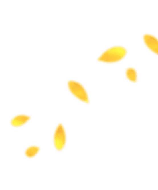 seeds