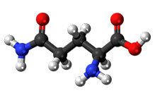 إل - جلوتامين