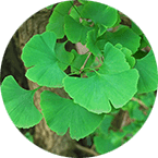 Otofril від чого допомагає