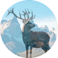 Ինչո՞վ է տարբերվում Reumax մյուս միջոցներից