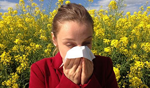 Ezek a leggyakoribb allergének