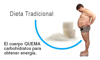 ketosis diet body burns carbs instead of fat