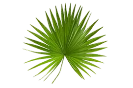 component